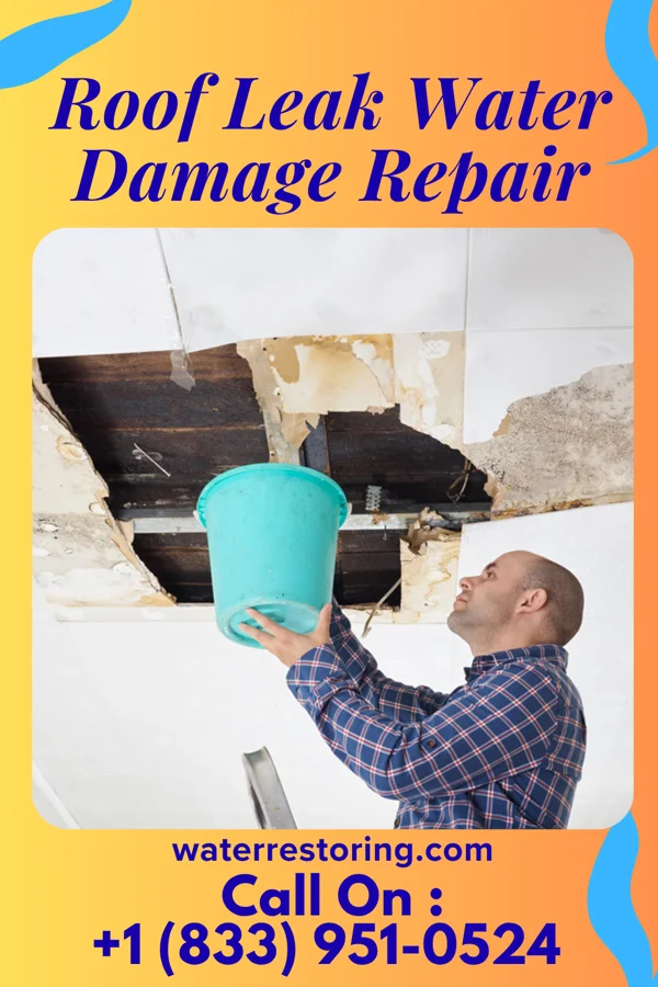 Roof Leak Water Damage Repair in Dayton, IN